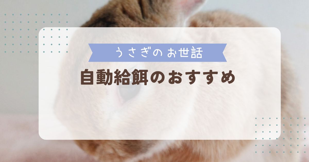 うさぎの自動給餌のおすすめは？人気商品や口コミも紹介。牧草の対応商品はあるの？ | なるふむナビ