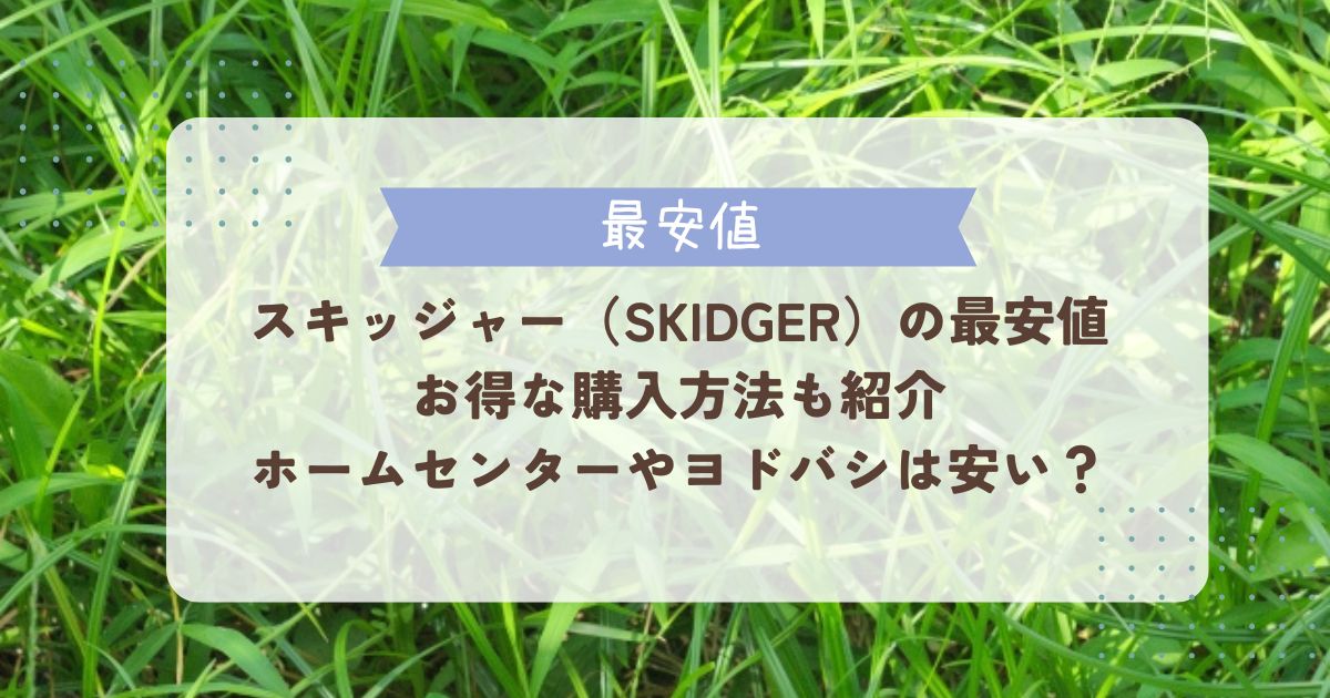 スキッジャーを最安値で買える販売店はどこ？ホームセンターやヨドバシ、通販など調査 | なるふむナビ